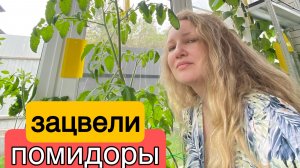 ВЛОГ ! Готовлюсь к лету ! Покрасил мангал и помыл окна !