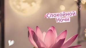 Спокойной ночи: открытки и пожелания | Домохозяйка