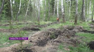 Новости Калининграда — итоги дня, 12 мая 2026 каскад тв
