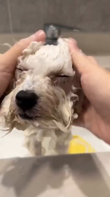 Не забываем про утренние ванны