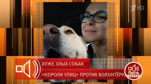 Подруга Леры Зимы: полиция никак не отреагировала на заявление блогера