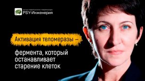 Активация теломеразы — фермента, который останавливает старение клеток