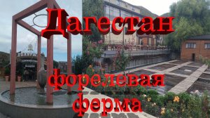 Дагестан, форелевая ферма # Dagestan, trout farm