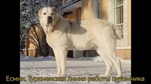 Весна в питомнике САО