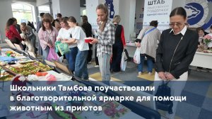 Школьники Тамбова поучаствовали в благотворительной ярмарке для помощи животным из приютов