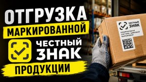 Отгрузка маркированной продукции в 1С с помощью ТСД