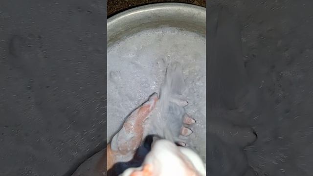8245.mp4