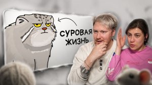 Ты - Манул (И ЭТО ВСЯ ТВОЯ ЖИЗНЬ) РЕАКЦИЯ на Setonix