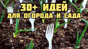 Как максимально упростить жизнь в саду или огороде? 30 плюс идей для огора и сада!