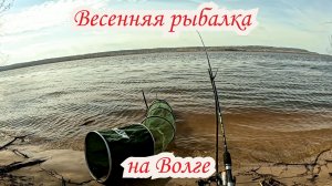 Рыбалка на фидер на Волге. Весенняя ловля плотвы