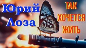 ТАК ХОЧЕТСЯ ЖИТЬ – новая песня на стихи Светланы Мережковской