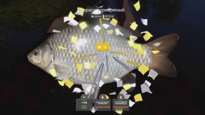 Russian Fishing 4 107 серия Трофейный карась, я его сделал