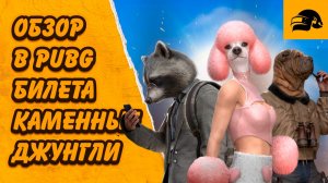 В PUBG НОВЫЙ ПАСС КАМЕННЫЕ ДЖУНГЛИ PUBG: BATTLEGROUNDS 41.2 ОБЗОР БИЛЕТА ВЫЖИВШЕГО