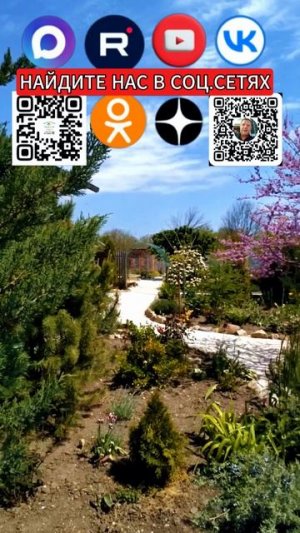 🏡Райский домик📍станица Ясенская🦯106.7 м²🦯20 соток🦯газ🦯вода🦯6 900 000 ₽📞+79245404992 Виктор🌴
