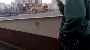 гуляем с собакой 😁😁😁🤩
