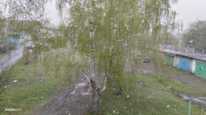 А у нас в Кузбассе опять идёт снег