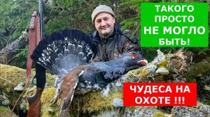 Чудеса на охоте! Такого просто не могло случиться!!!! 1 шанс из 100000