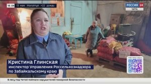 Не просто клубни, а семена, на что забайкальцам обратить внимание при покупке картофеля для посадки