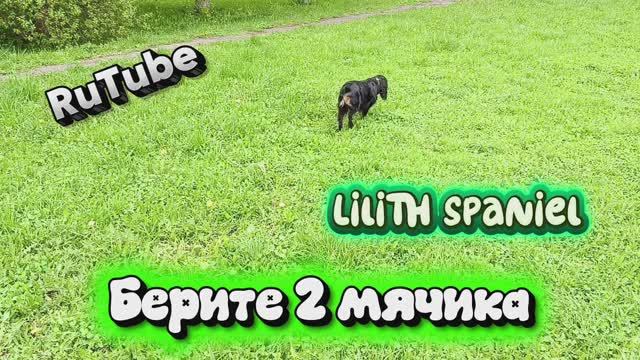 Берите 2 мячика