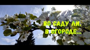 ~8. Во саду ли, в огороде... {Пора Домой}