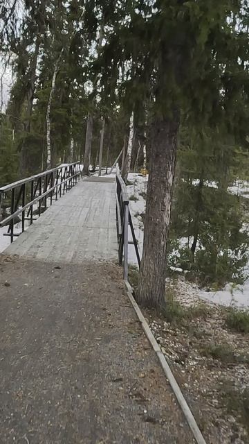 Обкатываю весенний лес