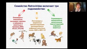 1. Жизненный цикл ВИЧ