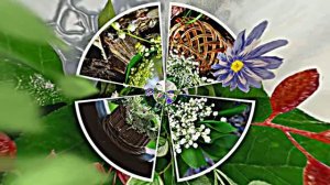 С Днём Рождения 6! Ландышевая Сказка от Киностудии Мудрого Кота Тимофея!!!