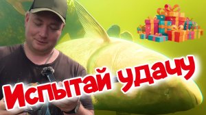 Лови момент: подводная охота + розыгрыш ружья!