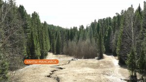Югорчане выберут территорию для благоустройства