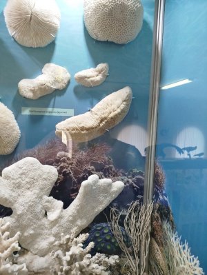 Делаем уроки
