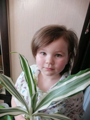 пр