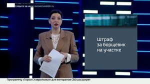 Новые правила дачного строительства: как избежать штрафов и оформить участок законно