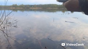 Успешная рыбалка на реке Вейна. Уклейка, плотва.