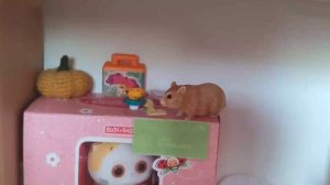 Анжела и приключения.Кексы