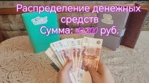Распределение денежных средств Сумма: 43 800 руб.