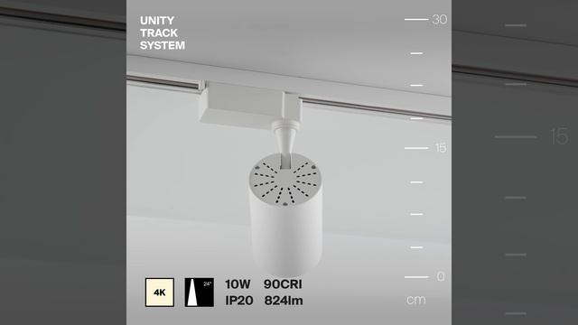 Светильник Maytoni Unity Vuoro TR003-1-10W4K-S-W смотреть онлайн