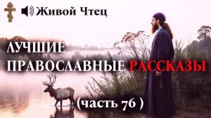СЫН НЕ ОБЩАЛСЯ С МАТЕРЬЮ 15 ЛЕТ... ЛУЧШИЕ ПРАВОСЛАВНЫЕ РАССКАЗЫ часть 76