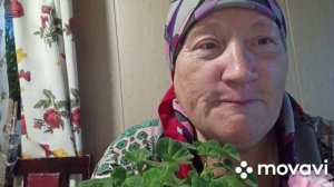 ИСТОРИЯ ОБО МНЕ 😄