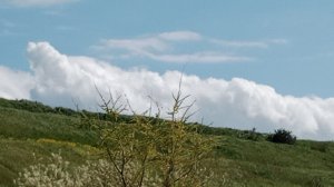 Привет из Ейска ☀️☔ Сходили за картошкой...