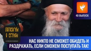 Если тебя все раздражают и обижают, то послушай советы старца Фаддея Витовницкого (Выпуск #40)