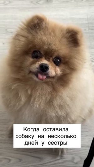 Видео от Департамент Вирусного Контента | ДВК