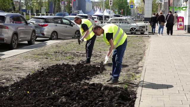 В Самаре восстанавливают газоны, прилегающие к автомобильным дорогам