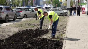 В Самаре восстанавливают газоны, прилегающие к автомобильным дорогам