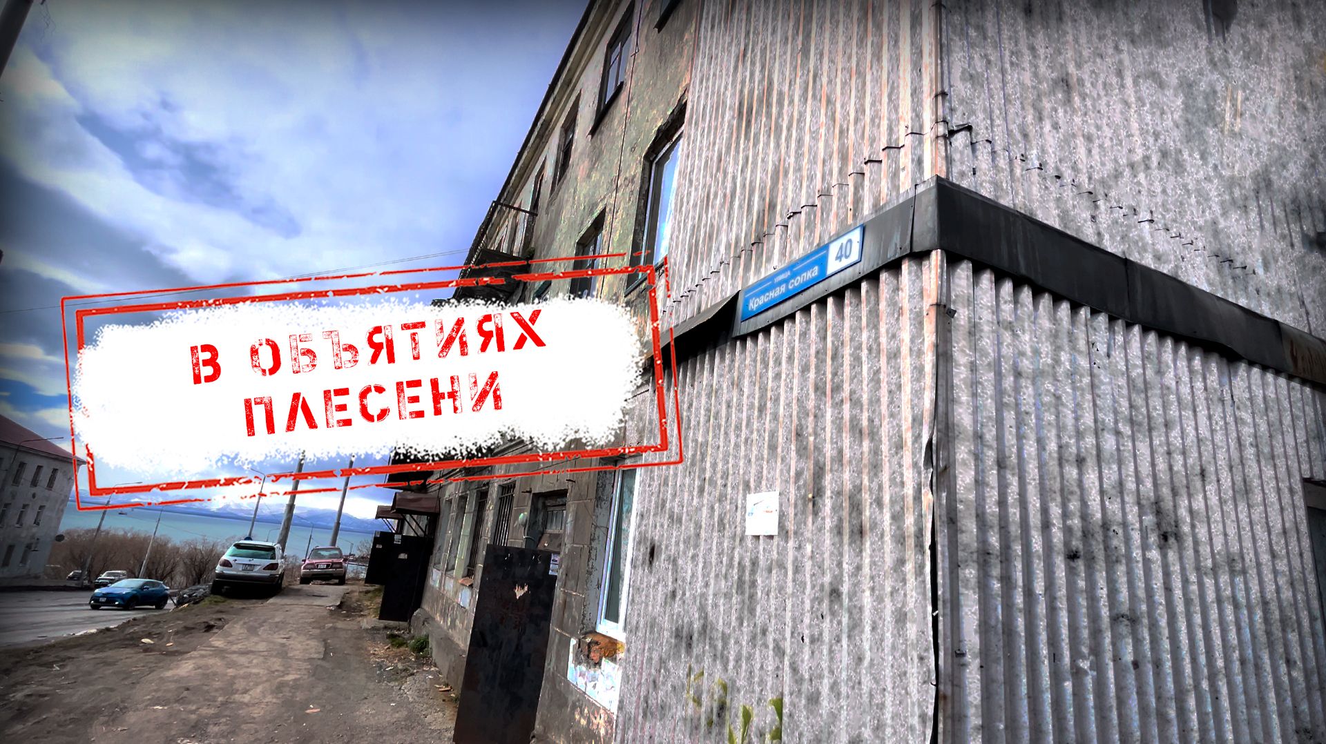 НОВОСТИ КАМЧАТКИ: В ОБЪЯТИЯХ ПЛЕСЕНИ