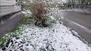 Холодный май.