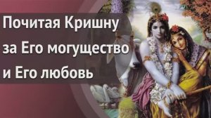 Почитая Кришну за Его могущество и Его любовь | Манйа - Бхакти Викаша Свами (Веллуру, Индия)