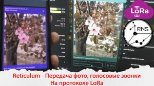 Передача фотографий, голосовые вызовы, создание локальной сети на Lora с помощью Reticulum.
