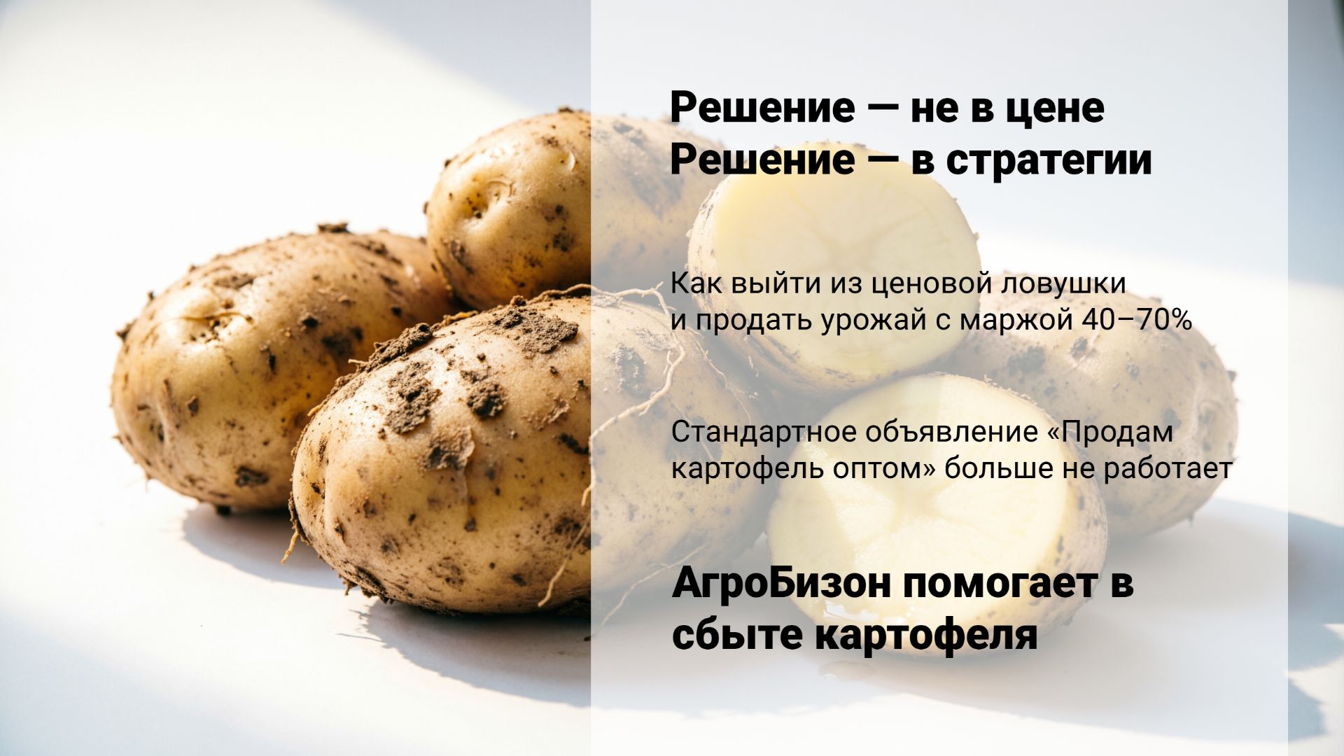Сбыт картофеля оптом: 4 стратегии для КФХ, которые работают в 2026 году