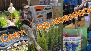 Светофор новинки,что я купила.