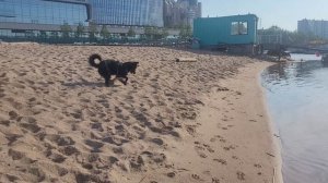 YouCut_20240601_170310445[1]